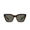 Saint Laurent SL 641 Sunglasses 002 havana - product thumbnail 1/4