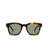 Saint Laurent SL M124 Sunglasses 002 havana - product thumbnail 1/5