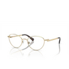 Swarovski SK1002 Eyeglasses 4013 pale gold - product thumbnail 2/4
