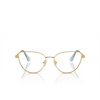 Swarovski SK1007 Eyeglasses 4021 gold - product thumbnail 1/4