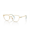 Swarovski SK1007 Eyeglasses 4021 gold - product thumbnail 2/4
