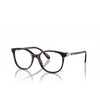 Swarovski SK2002 Eyeglasses 1002 havana - product thumbnail 2/4