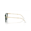 Swarovski SK2009 Eyeglasses 1026 green - product thumbnail 3/4