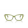 Swarovski SK2011 Eyeglasses 3002 trasparent green - product thumbnail 1/4