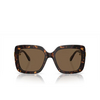 Swarovski SK6001 Sunglasses 100273 havana - product thumbnail 1/4