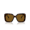 Swarovski SK6001 Sunglasses 100283 havana - product thumbnail 1/4