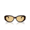 Swarovski SK6002 Sunglasses 1002/8 dark havana - product thumbnail 1/4
