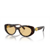 Swarovski SK6002 Sunglasses 1002/8 dark havana - product thumbnail 2/4
