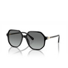 Swarovski SK6003 Sunglasses 100111 black - product thumbnail 2/4