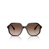 Swarovski SK6003 Sunglasses 100213 havana - product thumbnail 1/4