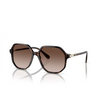 Swarovski SK6003 Sunglasses 100213 havana - product thumbnail 2/4