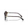 Swarovski SK6003 Sunglasses 100213 havana - product thumbnail 3/4