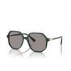 Swarovski SK6003 Sunglasses 1026M3 green - product thumbnail 2/4