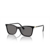 Swarovski SK6004 Sunglasses 100181 black - product thumbnail 2/4
