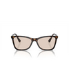 Swarovski SK6004 Sunglasses 1002M4 dark havana - product thumbnail 1/4