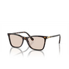 Gafas de sol Swarovski SK6004 1002M4 dark havana - Miniatura del producto 2/4