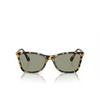Swarovski SK6004 Sunglasses 1009/2 havana - product thumbnail 1/4