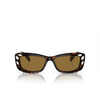 Swarovski SK6008 Sunglasses 100273 dark havana - product thumbnail 1/4