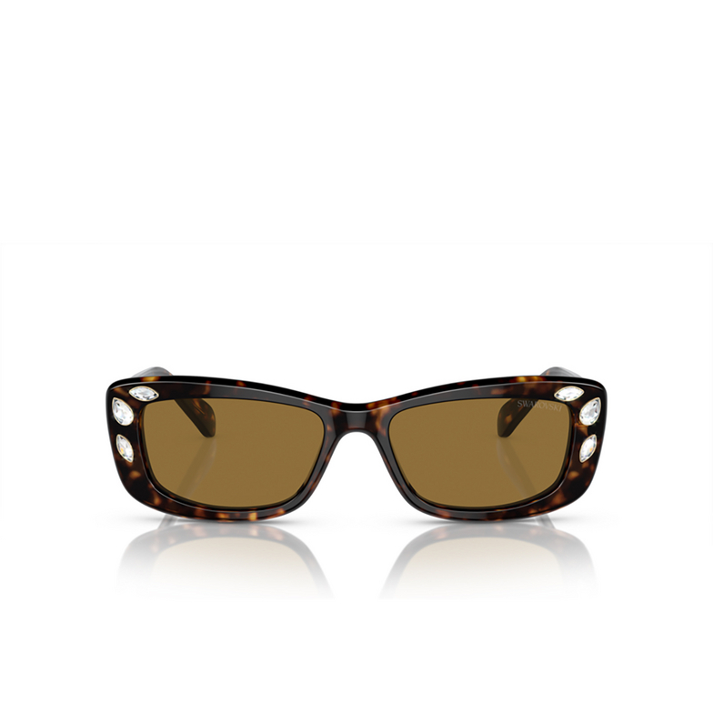 Swarovski SK6008 Sunglasses 100273 dark havana - 1/4