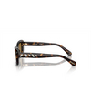 Swarovski SK6008 Sunglasses 100273 dark havana - product thumbnail 3/4