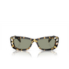 Lunettes de soleil Swarovski SK6008 1009/2 medium havana - Vignette du produit 1/4