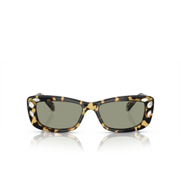 Gafas de sol Swarovski SK6008 1009/2 medium havana