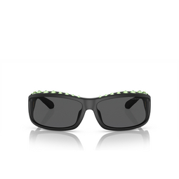 Swarovski SK6009 Sunglasses 102087 matte black