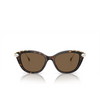 Swarovski SK6010 Sunglasses 100273 havana - product thumbnail 1/4