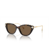 Swarovski SK6010 Sunglasses 100273 havana - product thumbnail 2/4