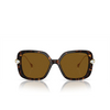 Swarovski SK6011 Sunglasses 100283 havana - product thumbnail 1/4