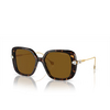 Swarovski SK6011 Sunglasses 100283 havana - product thumbnail 2/4