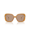 Gafas de sol Swarovski SK6011 200563 transparent amber brown - Miniatura del producto 1/4
