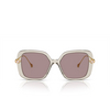 Swarovski SK6011 Sunglasses 3003LA transparent light brown - product thumbnail 1/4
