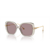 Swarovski SK6011 Sunglasses 3003LA transparent light brown - product thumbnail 2/4