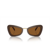 Gafas de sol Swarovski SK6012 101173 brown light brown - Miniatura del producto 1/4