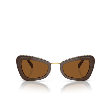 Gafas de sol Swarovski SK6012 101173 brown light brown - Vista delantera