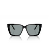 Swarovski SK6013 Sunglasses 1010/1 black - product thumbnail 1/4