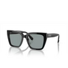 Swarovski SK6013 Sunglasses 1010/1 black - product thumbnail 2/4