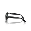 Occhiali da sole Swarovski SK6013 1010/1 black - anteprima prodotto 3/4