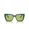 Occhiali da sole Swarovski SK6013 101730 green - anteprima prodotto 1/4