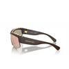 Gafas de sol Swarovski SK6014 10357J matte brown - Miniatura del producto 3/4