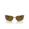 Gafas de sol Swarovski SK7001 400273 brown - Miniatura del producto 1/4
