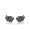 Swarovski SK7001 Sunglasses 400487 gold - product thumbnail 1/4