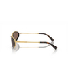 Swarovski SK7004 Sunglasses 400473 gold / black - product thumbnail 3/4