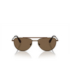 Lunettes de soleil Swarovski SK7007 401673 bronze - Vignette du produit 1/4