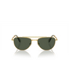 Gafas de sol Swarovski SK7007 401782 gold - Miniatura del producto 1/4