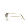 Occhiali da sole Tiffany TF3095 6021S4 pale gold - anteprima prodotto 3/4