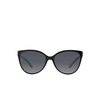 Gafas de sol Tiffany TF4089B 8055T3 black on tiffany blue - Miniatura del producto 1/4