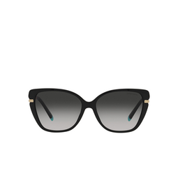 Tiffany TF4190 Sunglasses 80013C black