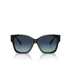 Tiffany TF4216 Sunglasses 83944U black - product thumbnail 1/4